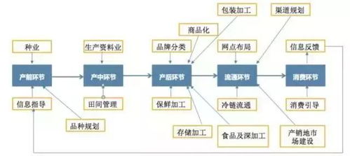 互联网农业 物联网技术服务带来的务农新体验